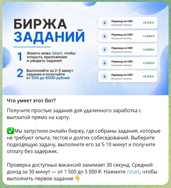 Информация по боту в телеграмме Монетный двор moneydvorrbot