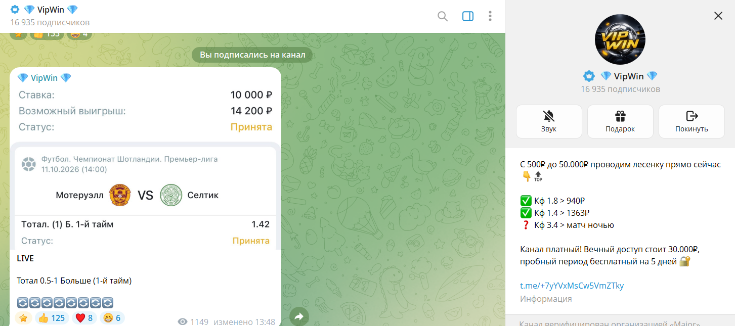 Общие сведения по каналу в телеграмме VinPin