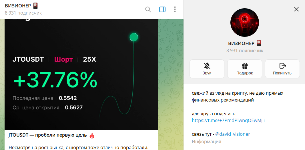 Основание канала в телеграмме ВИЗИОНЕР