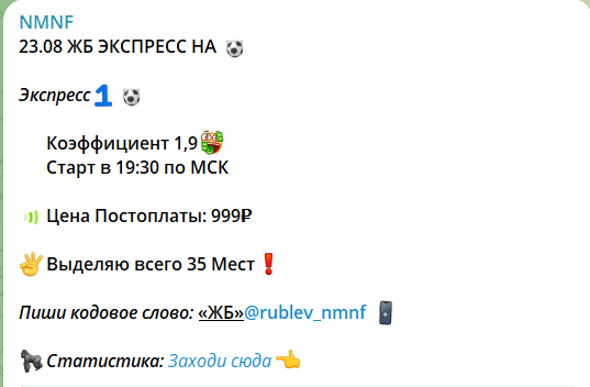 Стоимость прогноза на проекте в телеграмме NMNF